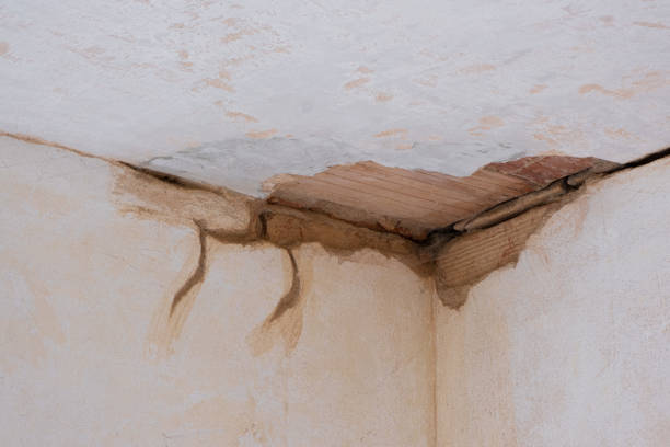 Best 24/7 water damage repair  in North Las Vegas, NV