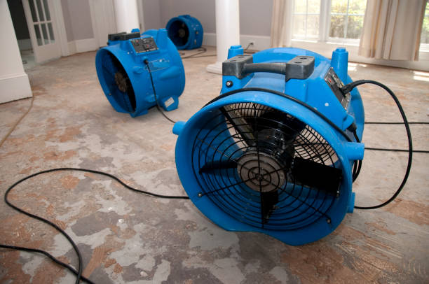 Best Water damage cleanup near me  in North Las Vegas, NV