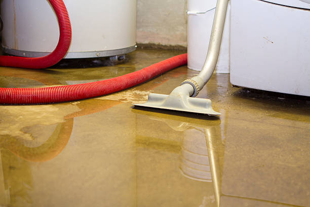 Best Ceiling water damage repair  in North Las Vegas, NV