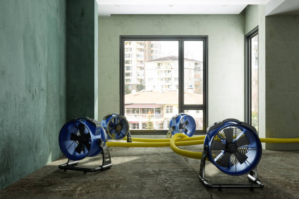 Best Professional water damage repair  in North Las Vegas, NV